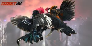 Hướng dẫn cách chơi đá gà Azbet88 từ A-Z 